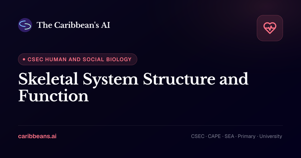 CSEC Human and Social Biology: Skeletal System Structure and Function ...