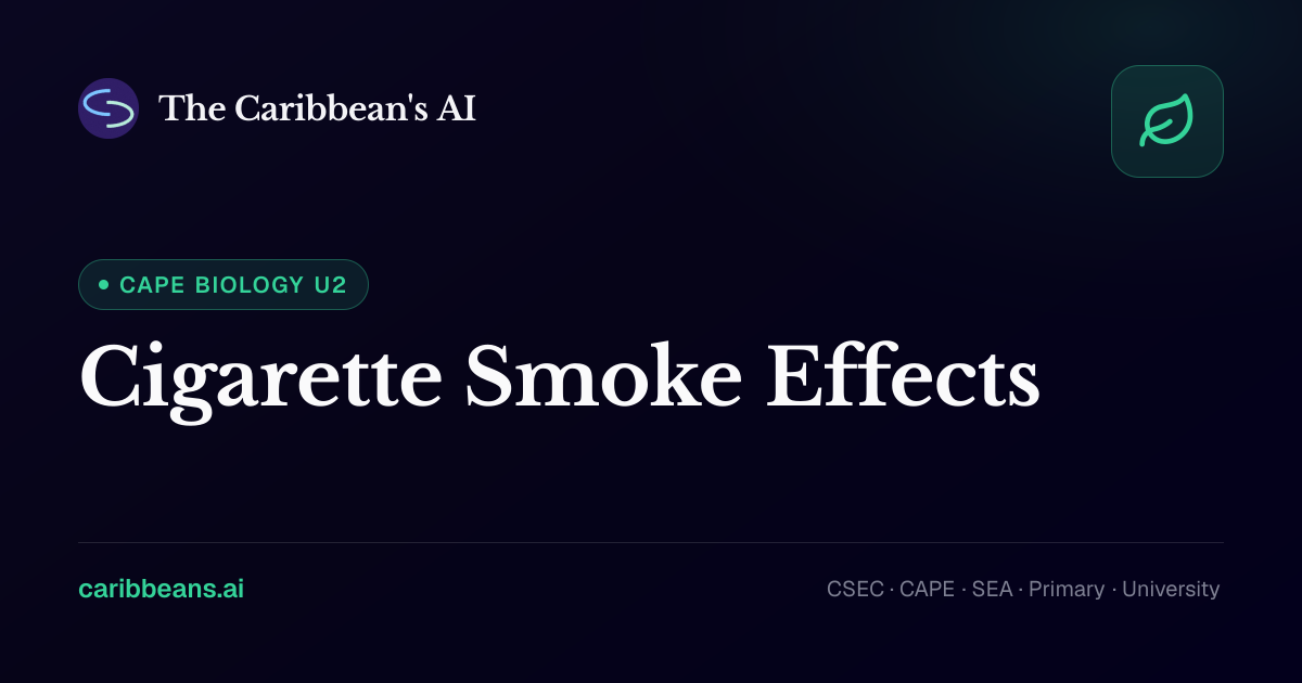 are air purifiers good for cigarette smoke The 12 Best Room Air Purifiers for Cigarette Smoke