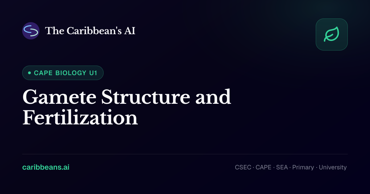 CAPE Biology: Gamete Structure and Fertilization — Free Caribbean AI ...